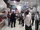 Automec 2013